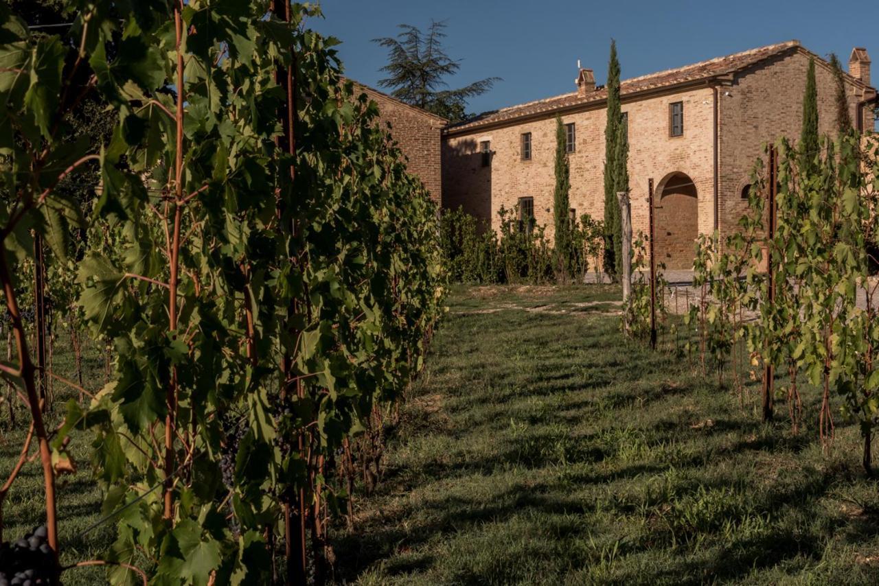 Podere Le Coppiole Montalcino Exterior foto